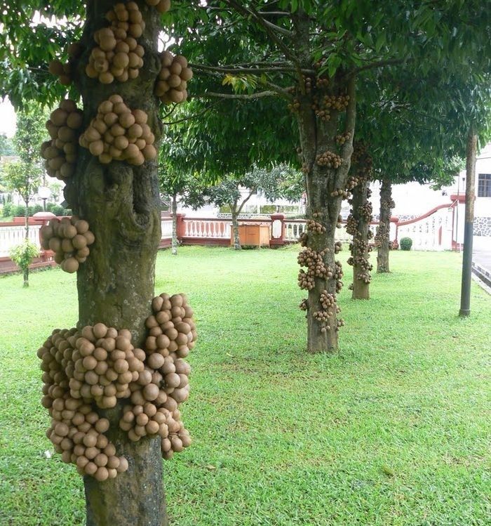 �� ����������� ���� �� ���������� �������: ��������� ������ ����������� ������