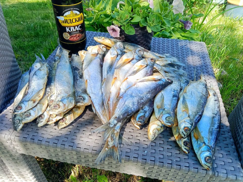 ��������������� ��������� �� ������� 6,5 ���� ������� ���� ��� ������������