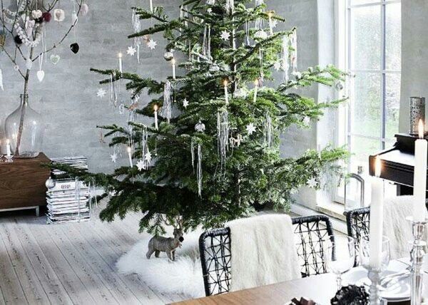 Как правильно убирать иголки с новогодней ели: полезные советы