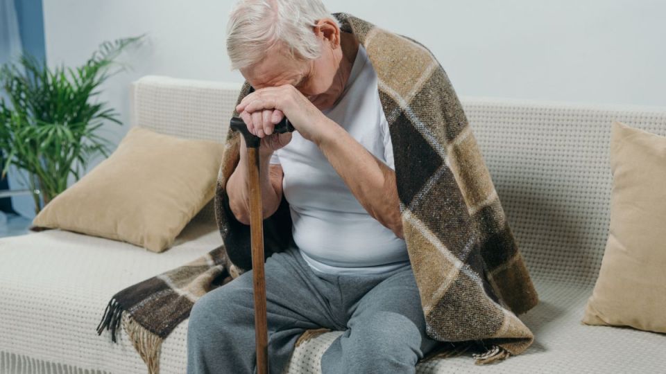 ��������� ����������: ���������� �� ����� ������ ���������