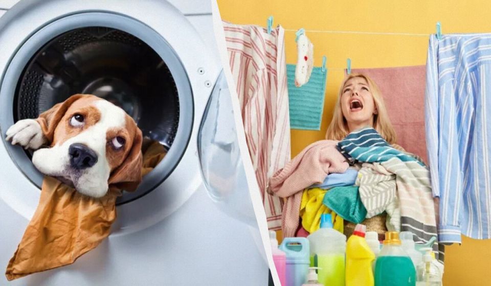 10 �����, ������� ������ ��������� � ���������� ������