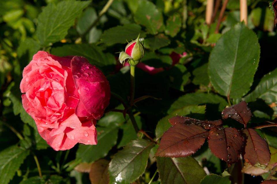 ������ ��� ������� ����� ����? ������������� ������ ������� ��� ��� ����