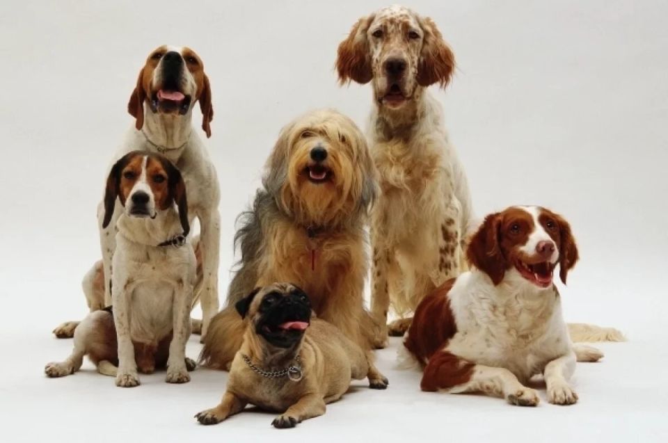 ������� �� ������������ ���������� ������� �� ������������ ������ ���������� ��������