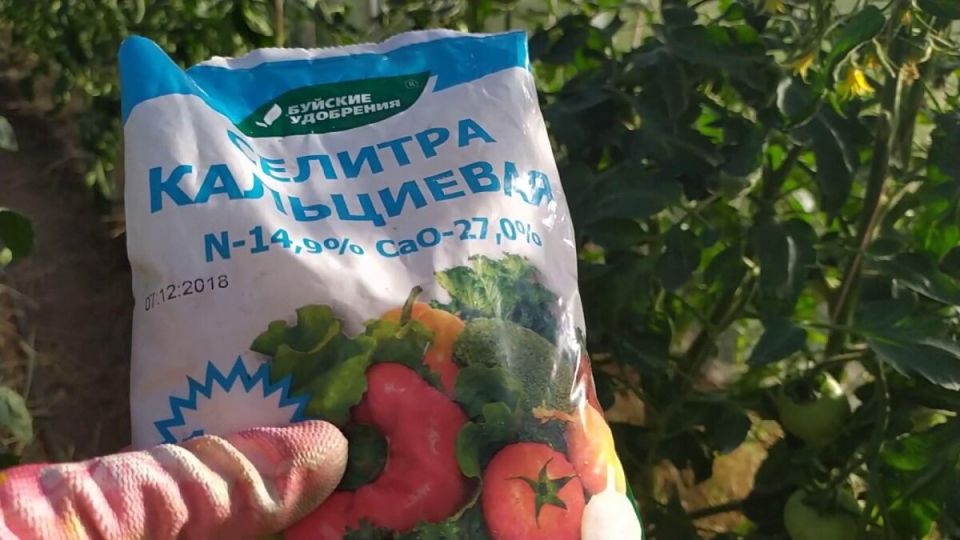 ���������� �������: ������������� ��������� ��� ������ ����