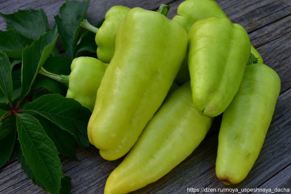 ������� ��������� ������: ����� ������, ������� �������� �����������