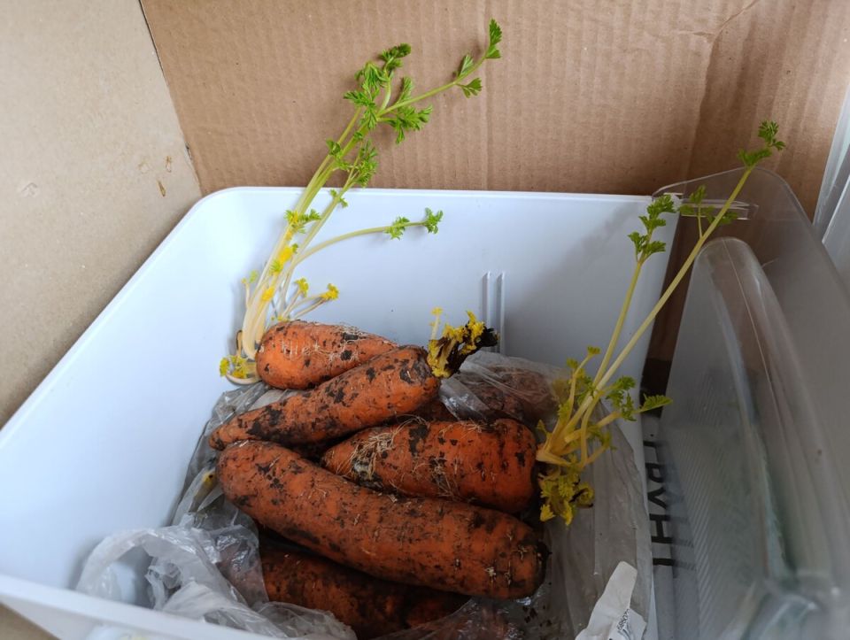 ������ ��� ������ �����: ����������� ������ � �������� ����� ����