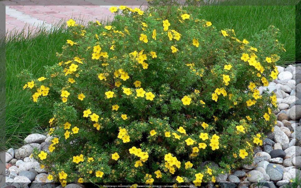 ����� ��������: ����� ������� ���������� ��� ������ �������