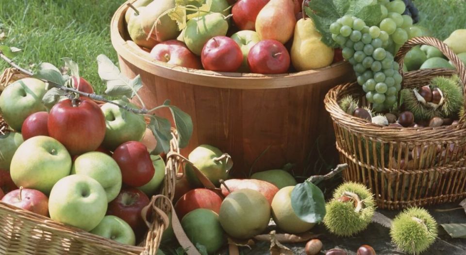 ����� ����� �������� ���: �������� �������� ��������� �����������