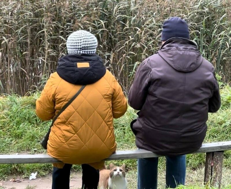 ����� ����������� ��� ���������� �����������: ���������� ��������� � 19 ������