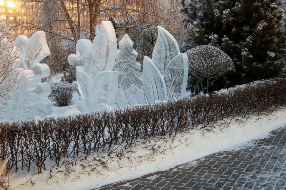 ��� ������� ���� ��������: ���� ������� ������������ �������