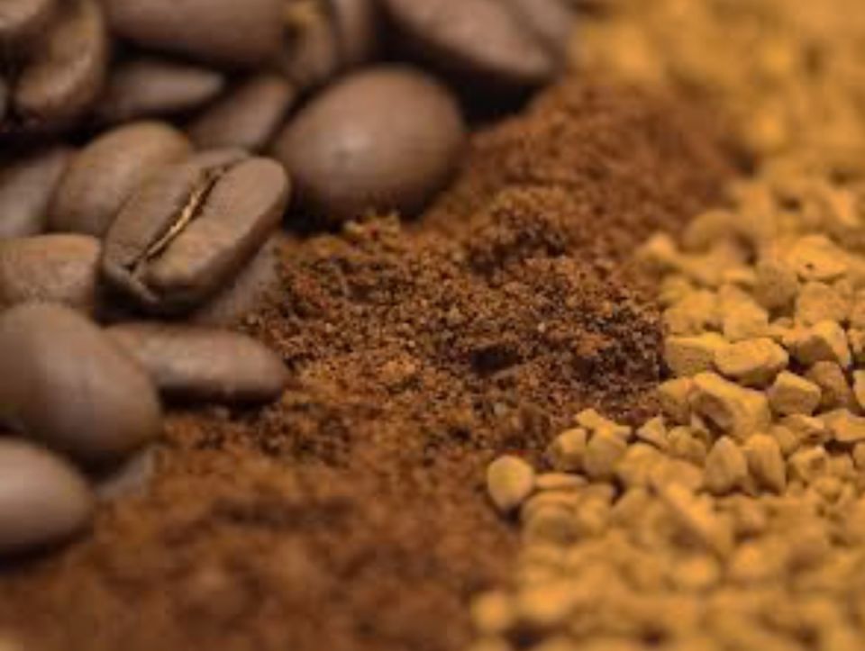 ����� ������������ ����: ��� �� ����� �������� ���������� �����������