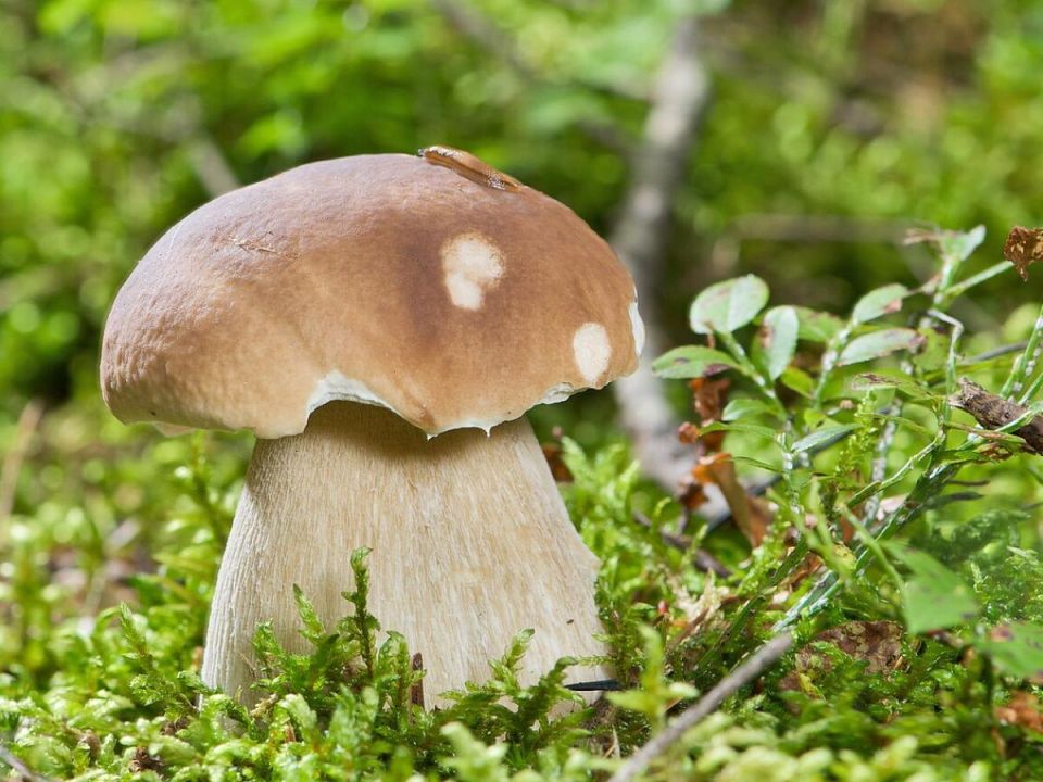 ��� ��������� �������� ����� � ��������� �������� � ������� �����