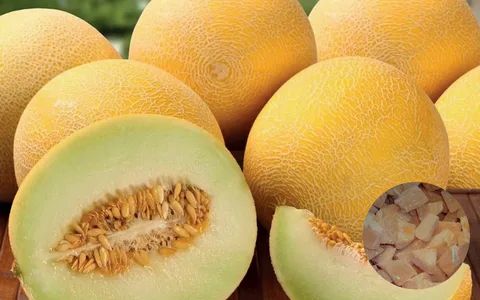 ��� ������ ������� ������������ � �������� ��������� ��� ������ �������