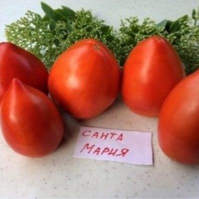 ����� ����� �����: ��������� ���������� ������ ��� ���������� ������