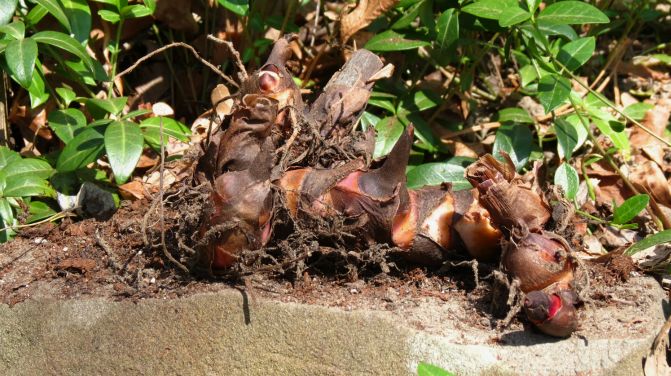 ��� ������� ����� ����� ��� ����� ��� �������� � �������� � ��������� ������