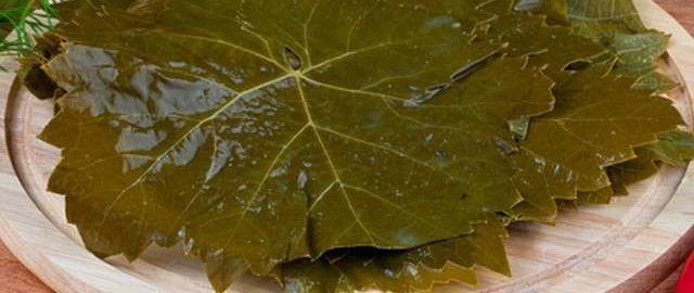 Квашеные виноградные листья как простой способ запастись со вкусом лета