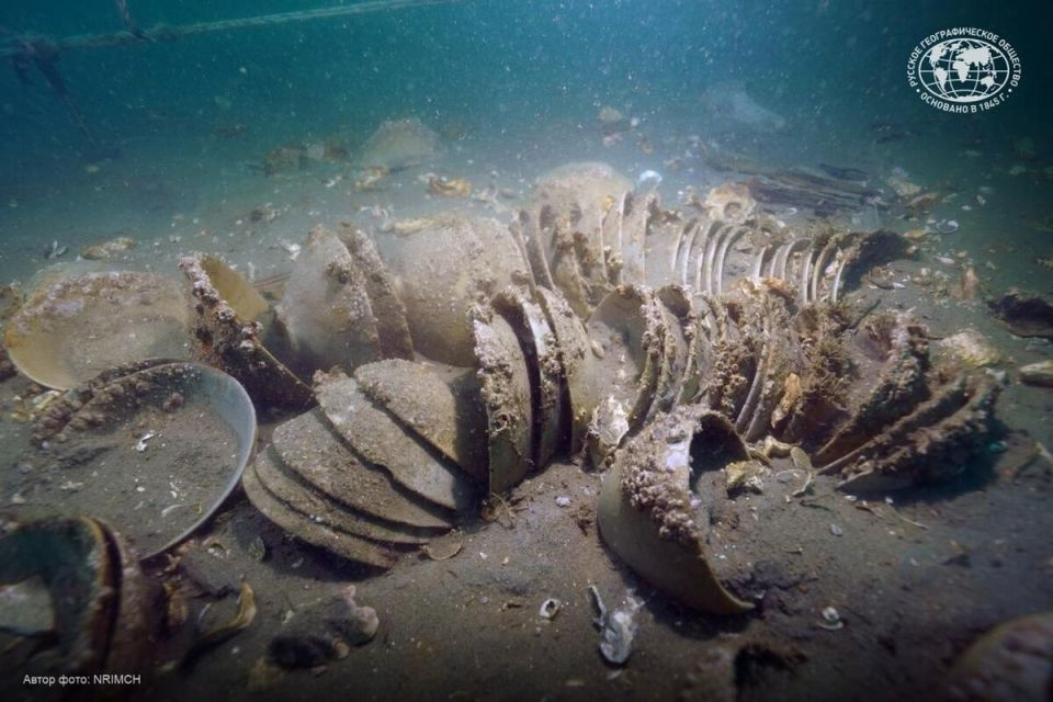 ��������������� ������� ��� �����: ������ ��� �������� ������ ������ �����������