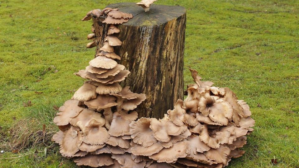 ��� ��������� ������ ���� �� ���� � ������� ������� �������� ���