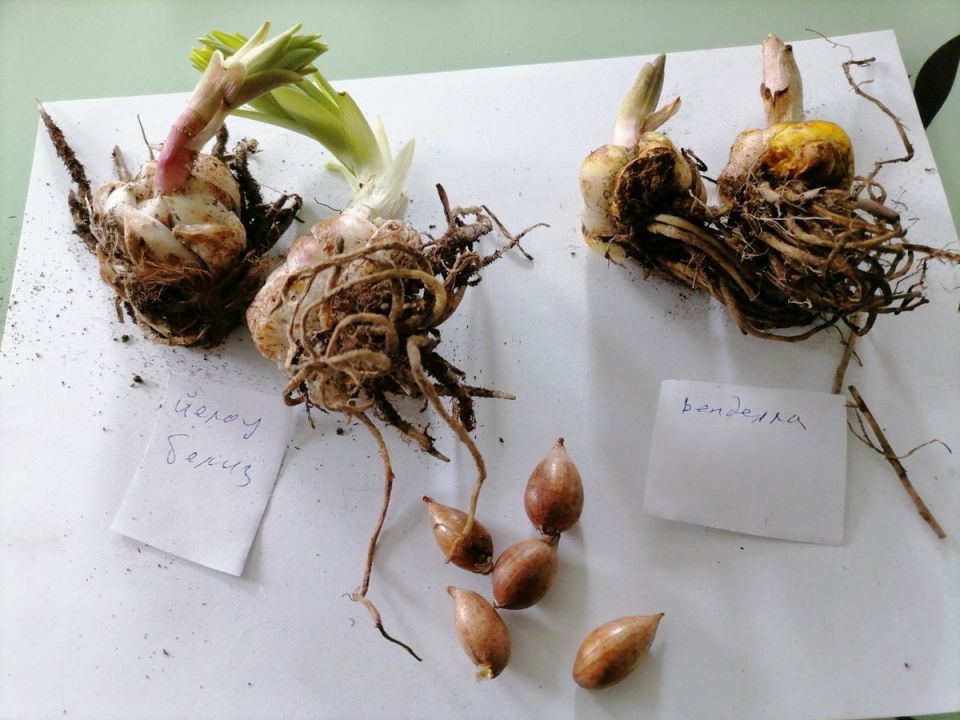 ����� �� �������� �������� ����� ������ � ��� ��� ������ �� �� ����