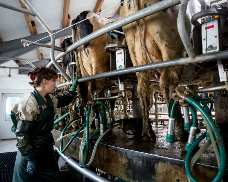 ������������ �������� �������: �������������� ������������� �������