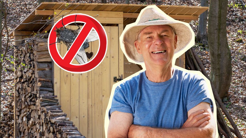 Мухи перестанут плодиться в дачном туалете: засыпьте в отверстие вот что