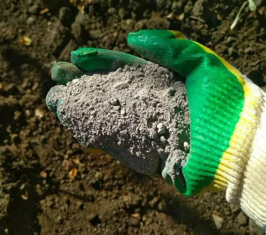 ������ ���� �� ����� �����������