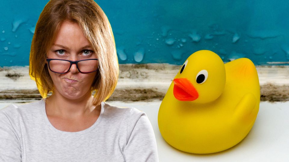 ������� ������ �� ��������: ���� ����� ������� ������ ������