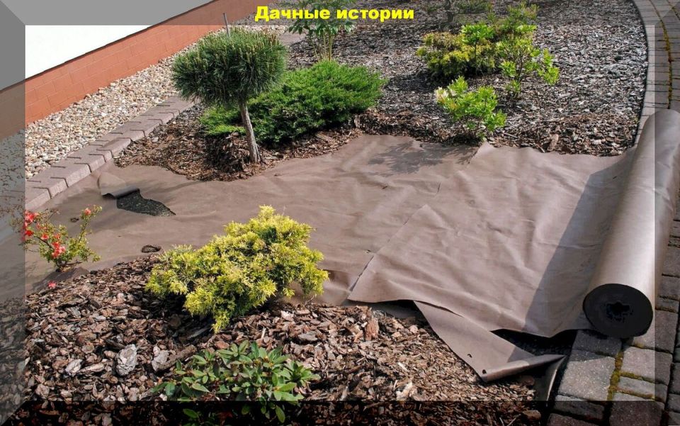 Как скрыться от любопытных взглядов: оригинальные решения для уюта на даче