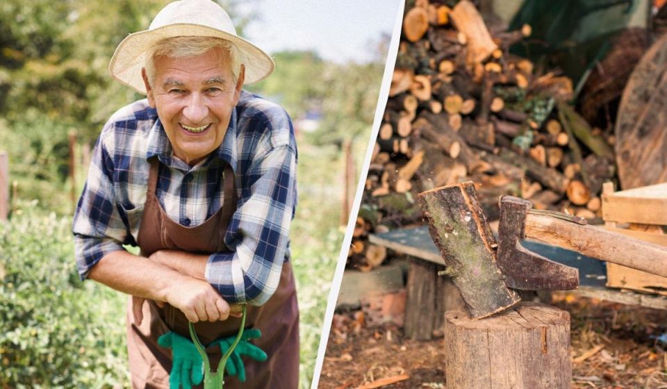 ��� ��������� ������������� ����� ����� ������� ��������: �������� ��������