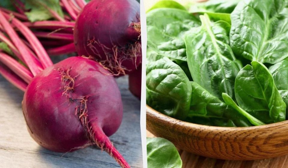 �����, ������� �������: ���-11 ��� ������ �������