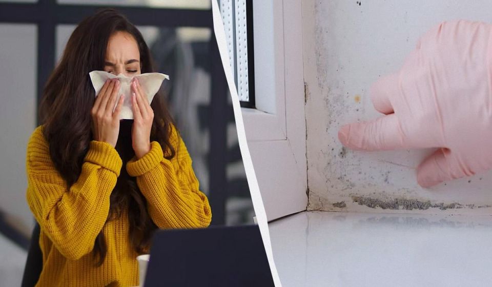 ����������� ������ ������ � ��������: ��� ���������� �� ������ �� ��������� ����