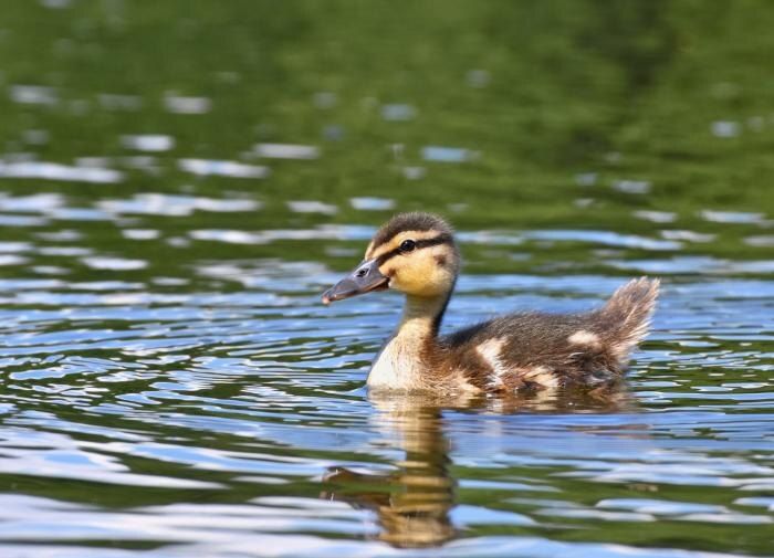 ������ ����� ����������� ���� � ������ �������?