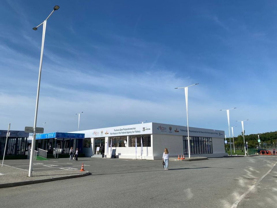 Сиг: Возрождение забытого деликатеса и его потенциал на российских прилавках