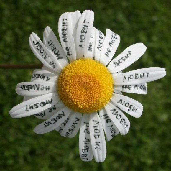 ������ ���� ���������: ������ ����� ���������� �� ����� �����