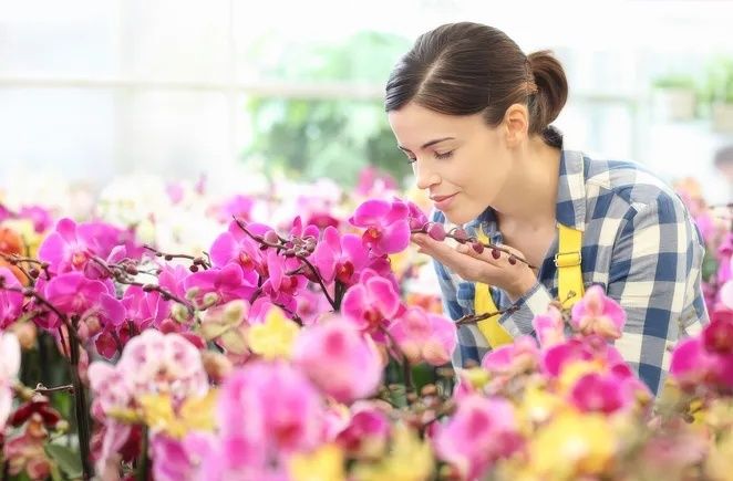 ��� �������� ���������� �������� �������: ������������ ������ � ������������