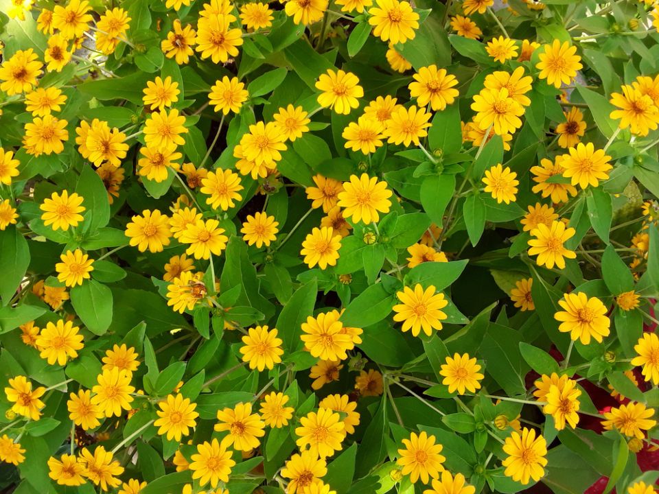 ����������: ������, ������� ������� ��������� ���������� �� ����������