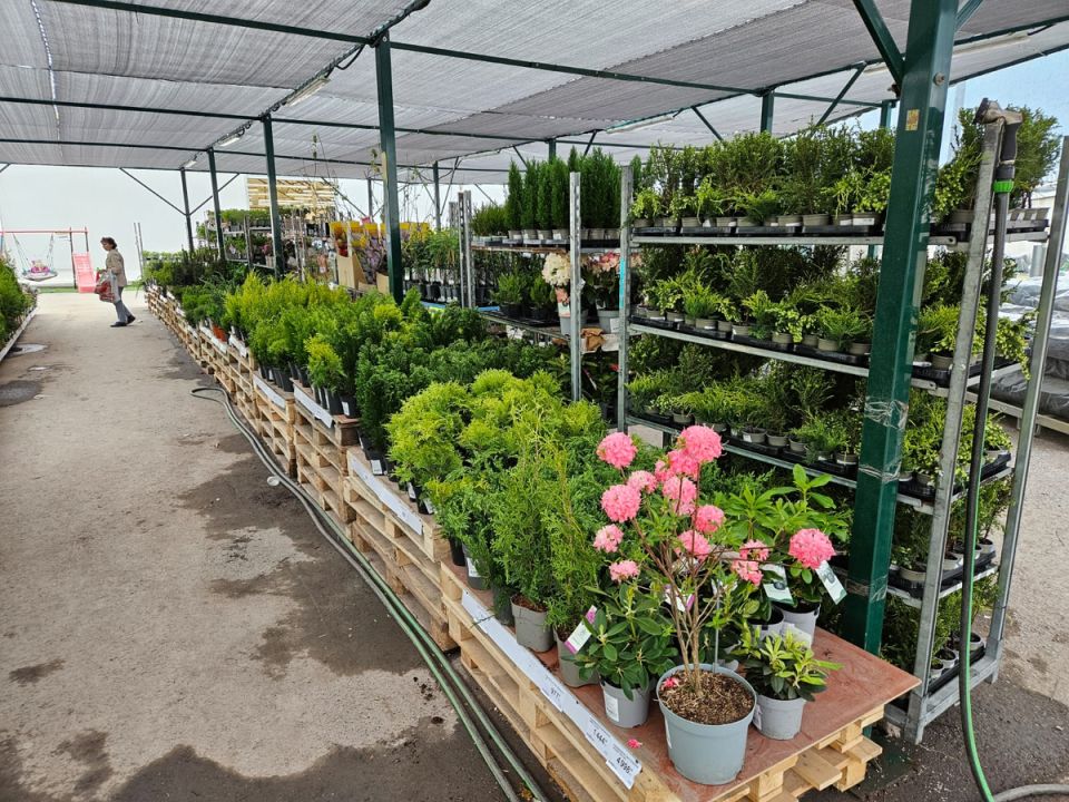 ������� � ������������ �������: ��� �� ����� � 2026 ����?