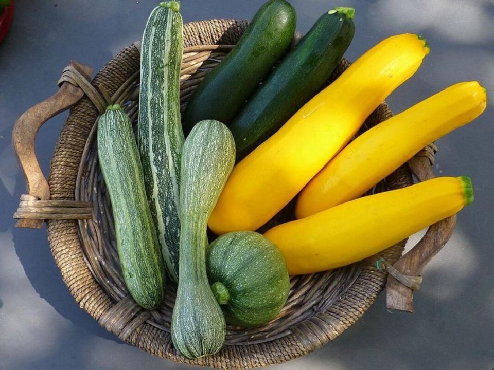 ����� ����� ������ ������� ��� ������� ������