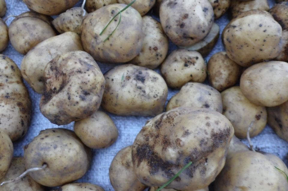 ��� ��������� �� ��������� ������ �� ������?