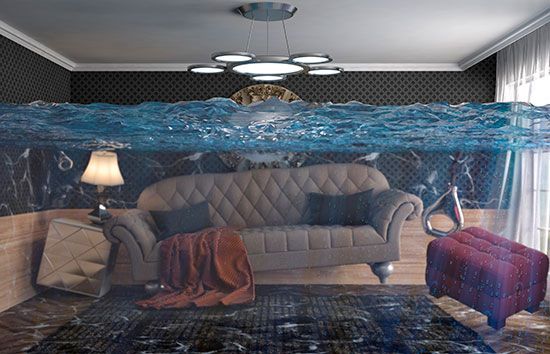 ���������� ��������: ��� �������� ����������� �� ����������� ��������