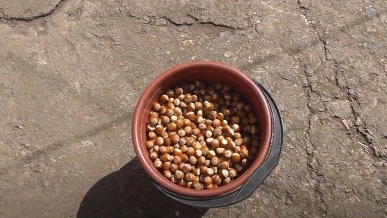 ��� ������ ������ �� ������ 