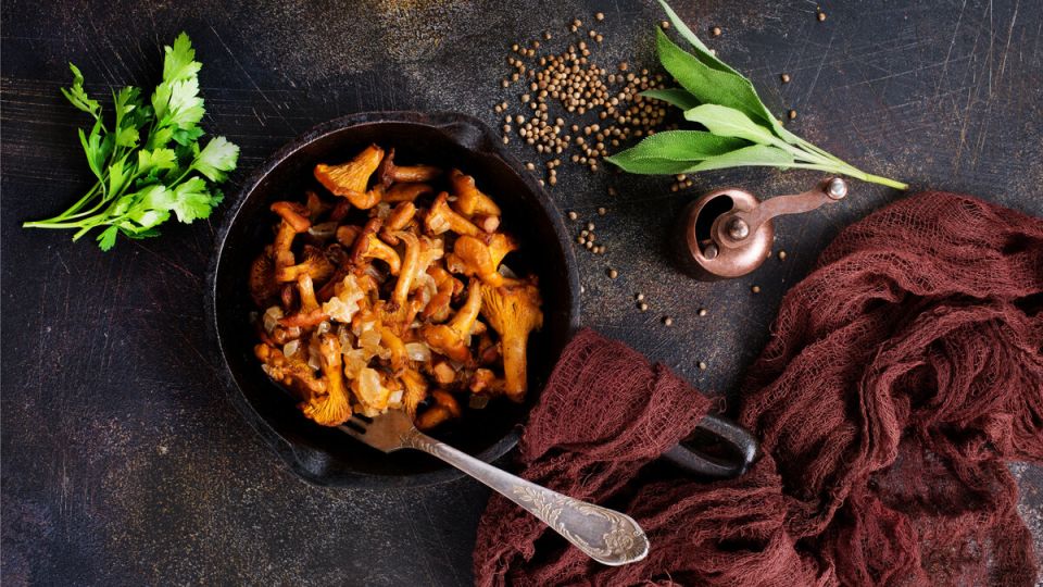 ����� � �������: ���� � ������