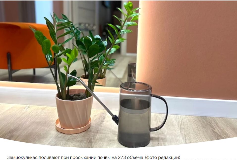 ����������� ���� �� ��������������: ����� �� �������