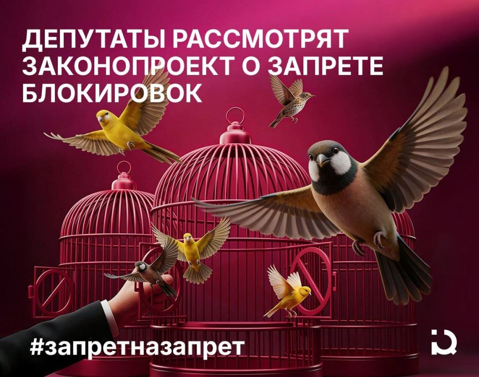 Мораторий на ограничения в соцсетях: Новый взгляд на интернет-регулирование