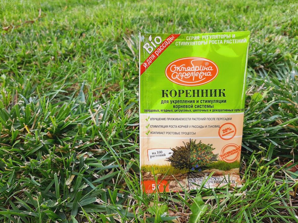 Результат тестирования налицо: с