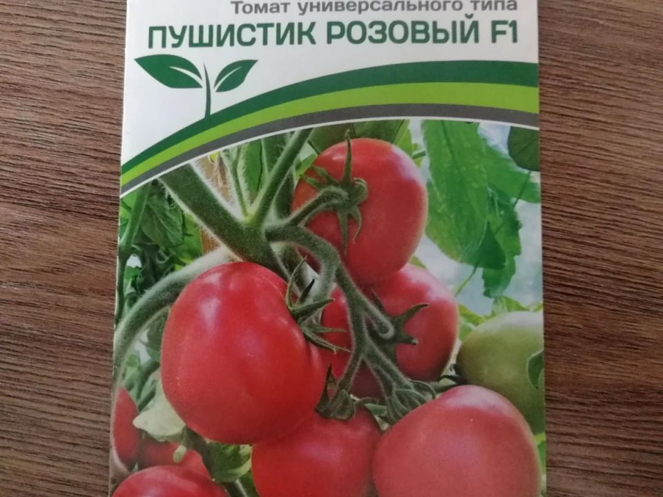 ��������� ����� ���������, ������� ��������