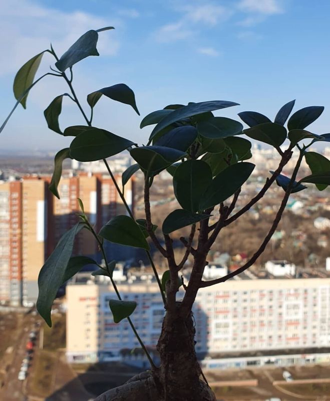 ��� ��������� ��������� �� ������ � ��� ���� ������� � ���� ������������� ����